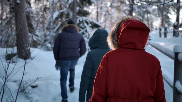 A Group of Friends Slowly Walks Along a Winter Forest Trail at Sunset