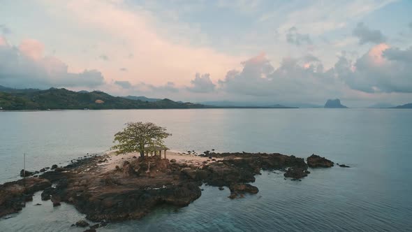 Small Tropical Island with Lonely Tree Aerial