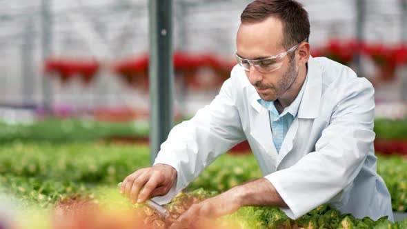 Smiling Professional Agricultural Scientist Pouring Fertilizer From Glass Tube to Organic Plants