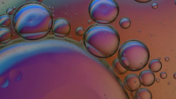 Macro: Microscopic multicolored Fluid Particles. Oil Bubbles in Water Liquid. Science Lab.