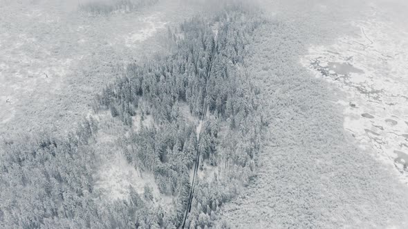 Aerial Shot of Forest Frozen in Winter with White Fog