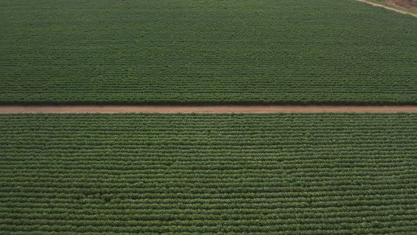 Aerial view of Farm off the coast off of High way 1 in Northern California