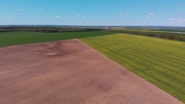 Three Different Colors of Agricultural Fields Near Trees Beautiful Aerial View