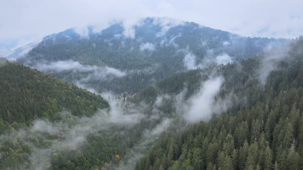 Aerial View of the Carpathian Mountains in Autumn. Ukraine