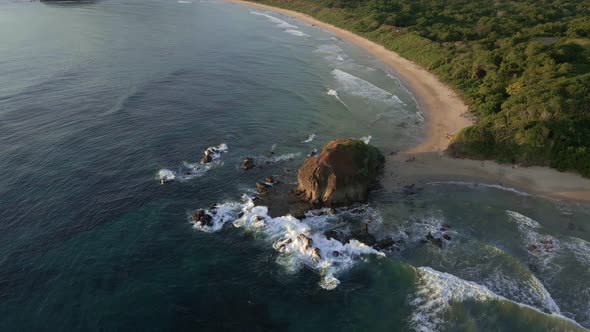 The natural nesting habitat of leatherback turtles captured from high above by a drone. Cinematic ae