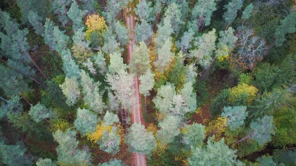 Aerial View in 4k a Car Driving Up Curvy Country Grawel Road Through Colorful Autumn Forest. Beautif