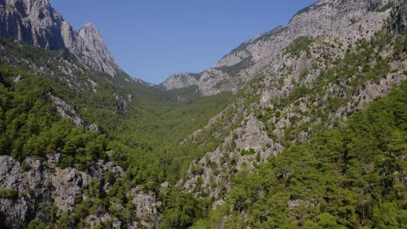 Aerial Drone View of Beautiful Green Pine Trees Growing on Mountains Slopes