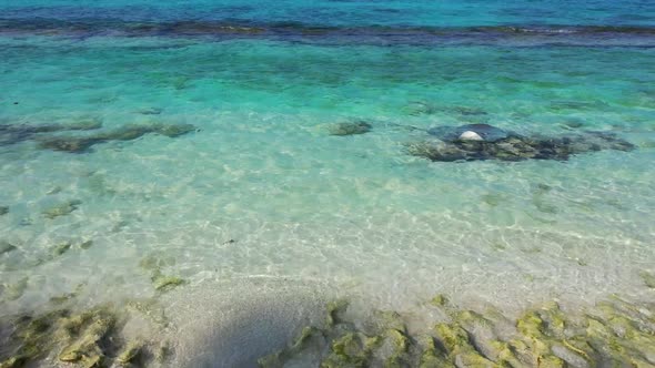 Aerial drone shot panorama of exotic seashore beach lifestyle by transparent sea and white sandy bac