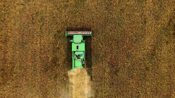 Aerial view on the combine working on the large wheat field