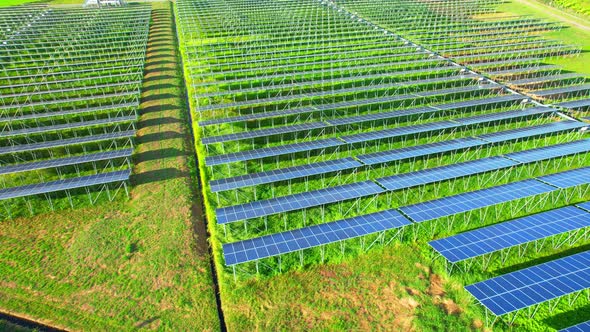 Aerial shot of Solar Power Station at morning. 4k drone footage.