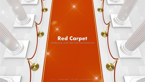 Red Carpet Walk 10