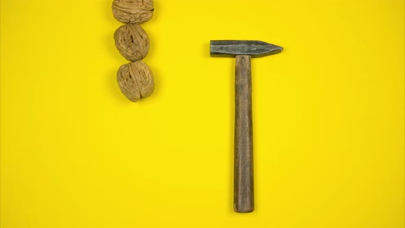 Three Walnuts in Shell. The Hammer Breaks the Nut. Stop Motion Animation