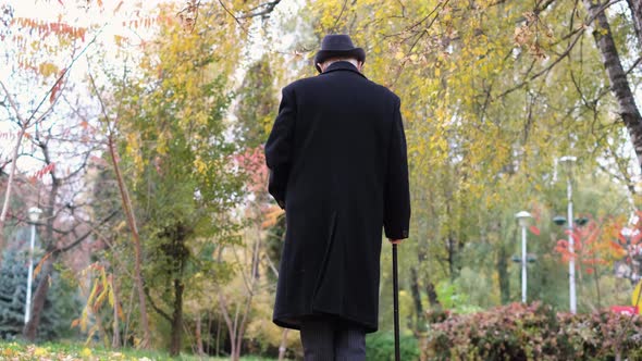 A Lonely Grandfather with a Stick Walks in a City Park Dressed in a Black Coat