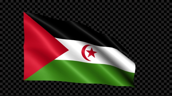 Western Sahara Flag Blowing In The Wind