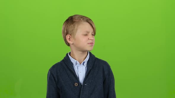 Child Waves and Calls a Friend with Him. Green Screen