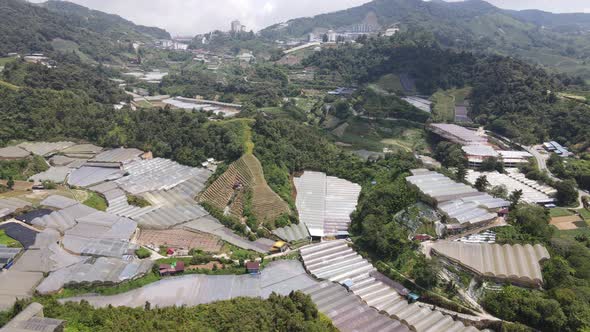 Cameron Highlands, Pahang Malaysia