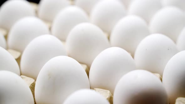 White chicken eggs in a cardboard box. Eggs in a paper tray.