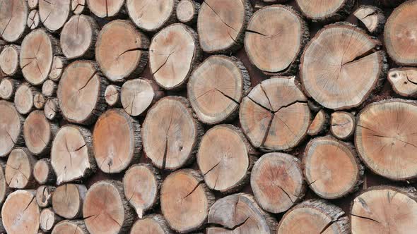 Background of Round Dry Wooden Cuts