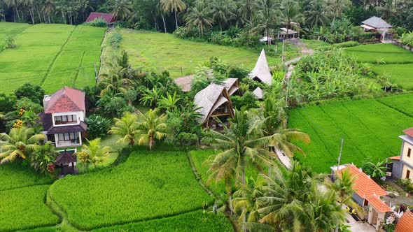eco bamboo villa surrounded by a green rice field in Ubud Bali, aerial