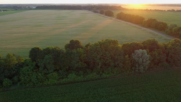 Aerial View Beautiful Summer Landscape at Sunset or Sunrise Drone Shot Nature