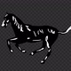 Cartoon horse running - VideoHive Item for Sale