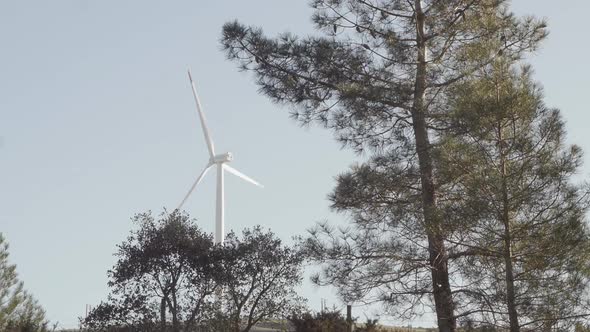 Wind turbine top of hill, through big pine trees - Portugal