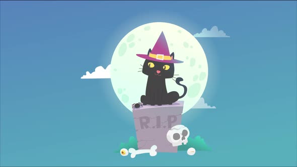 Halloween Cat 4K