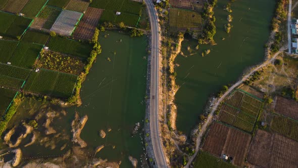 Asphalt road leading through farming land plots in Vietnam, aerial view