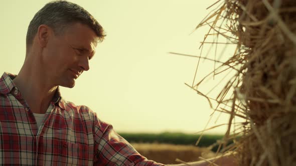 Agronomist Examining Hay Bale in Sunlight Closeup