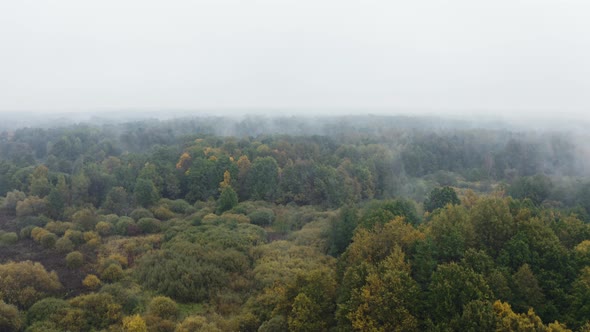 Autumn Forest Aerial. Low Clouds of Fog Over Trees. Misty Weather, Colorful Woods. Drone Flies