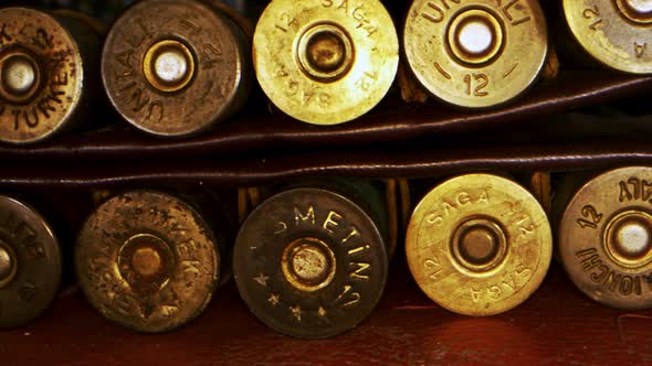 Big Vintage Bullets Macro View