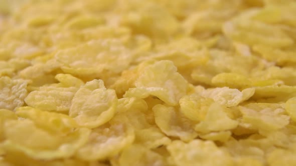 Crispy dry cornflakes fall in a heap in a slow motion