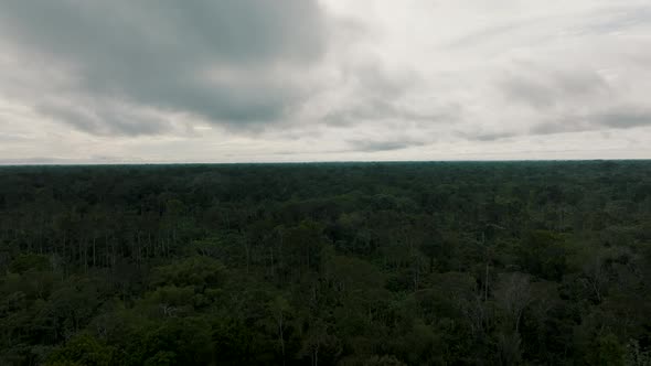 Aerial forward riser over untouched dense Amazon rainforest, overcast sky