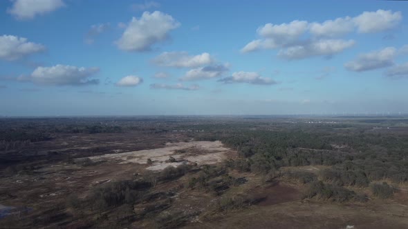 Forest and heather in Hilversum, the Netherlands Aerial