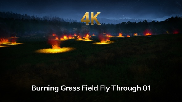 Burning Grass Field Fly Through 4K 01