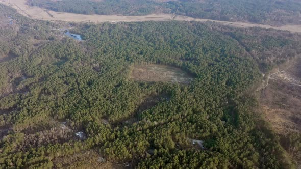 Aerial drone view of deforestation of a pine forest. Ecology concept