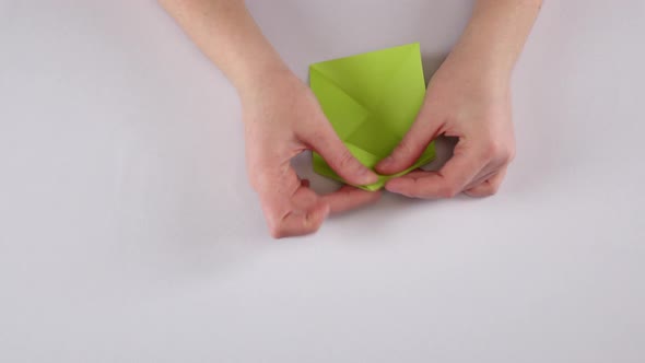 Paper Frog. Origami. White. Time Lapse