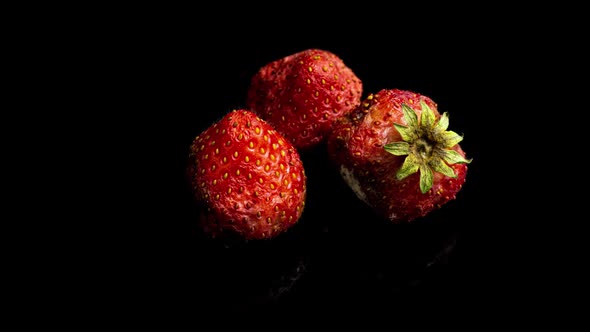 Strawberry Rots on a Black Background Time Lapse Macro Photography