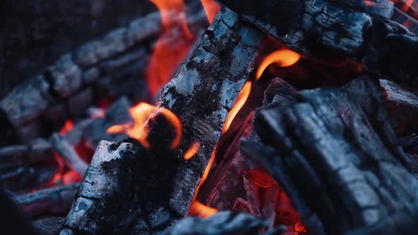 Smoldered logs in burnt fire. Dark firewood with light flame in slow motion. Close-up.
