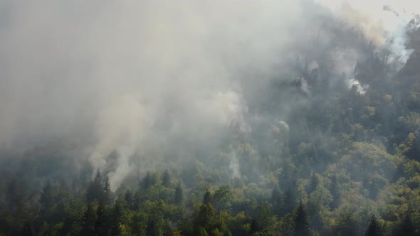 Fire in the forest aerial view. Cinematic aerial shot fire in the forest.