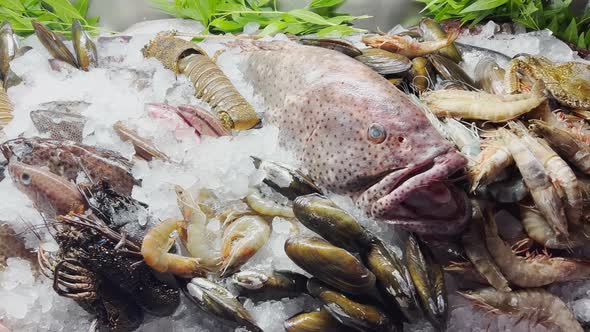 Close Up Footage of a Variety of Fresh Seafood on the Counter with Fine Crushed Ice Crabs Lobsters