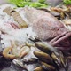 Close Up Footage of a Variety of Fresh Seafood on the Counter with Fine Crushed Ice Crabs Lobsters - VideoHive Item for Sale