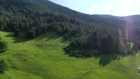 Zlatibor Mountain Landscape Nature Wildlife 1