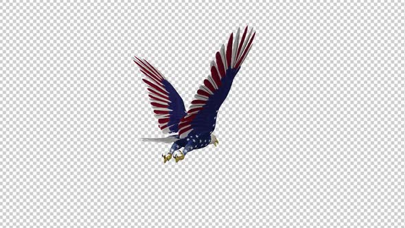 American Eagle - USA Flag - Flying Loop - Back Angle alt