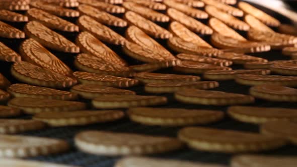 Freshly Baked Shortbread Cookies Leave the Oven