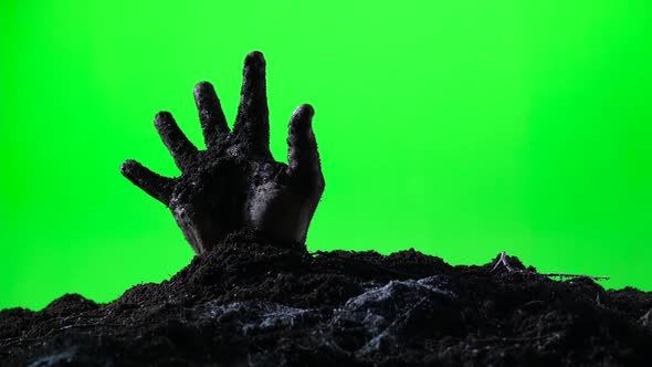 Zombie Hand Emerging From the Ground Grave. Halloween Concept. Green Screen. 008