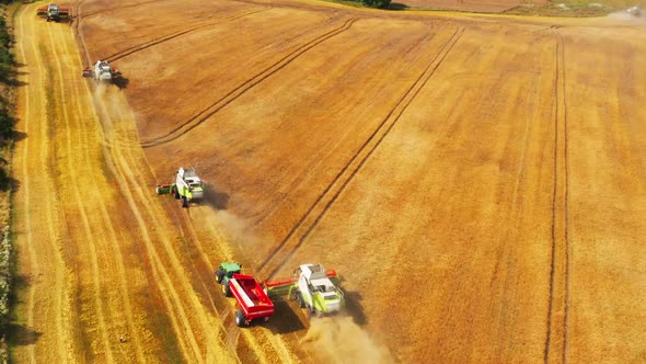 Combine Harvester Wheat Field Aerial Season