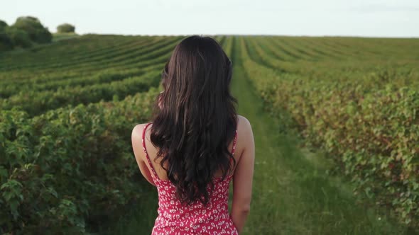 Beautiful Girl Walks Among Green Bush Plantation and Turns to Camera