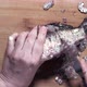 Cutting Up Raw Fish - VideoHive Item for Sale