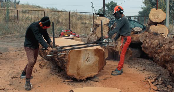 Lumberjack cutting tree trunk with giant chainsaw to make wooden planks